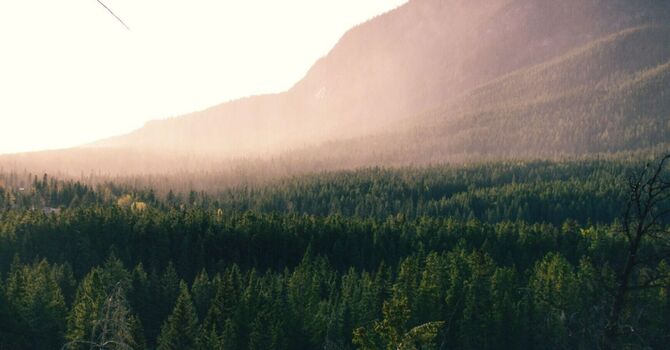 PDGF+ regenerative aesthetics