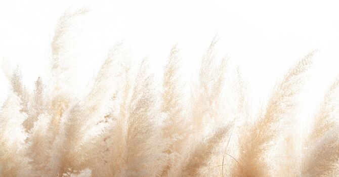 Injectables- Neurotoxin